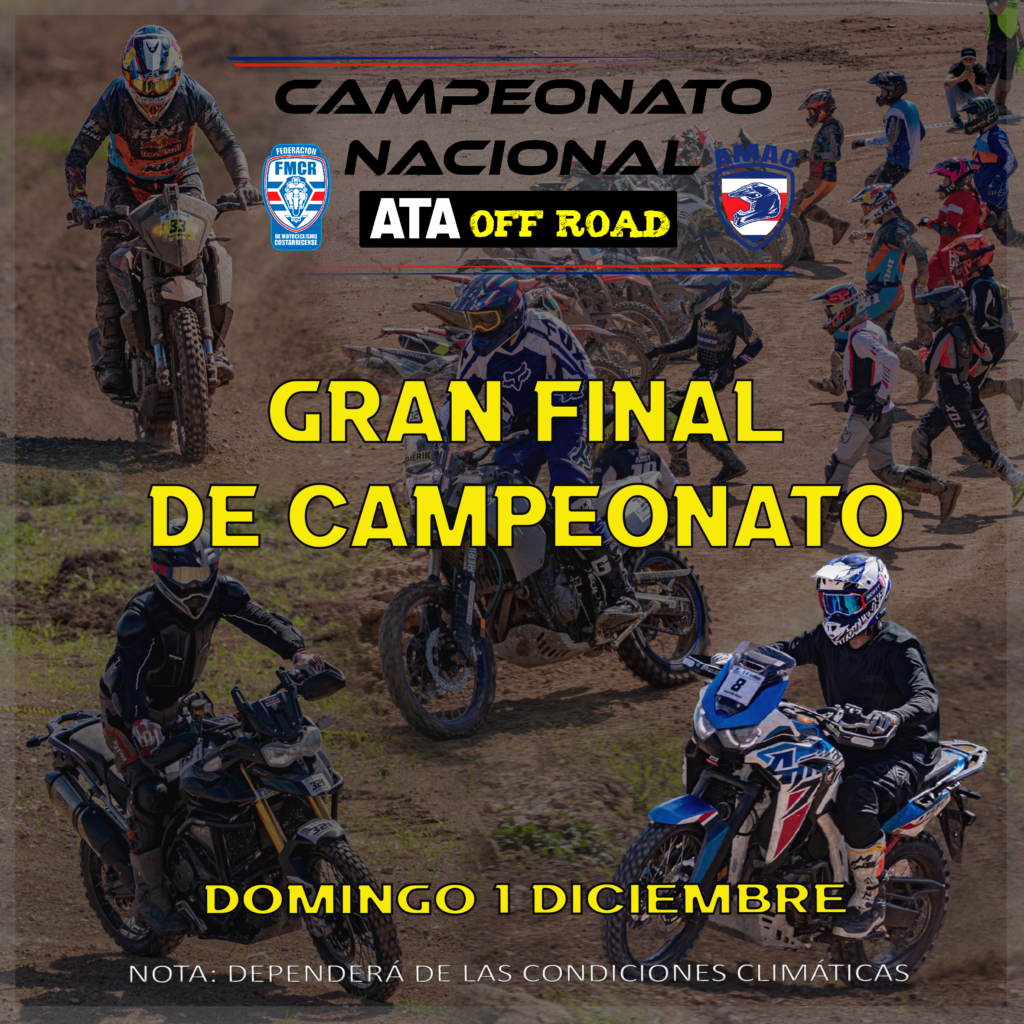 2da Fecha arte copia